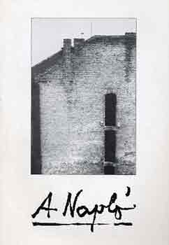 Barna-Kenedi-Sulyok-V�rady - A Napl� 1977-1982