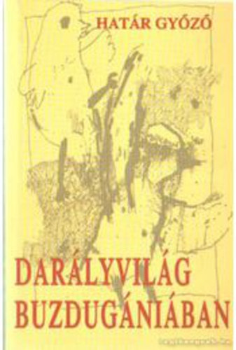 Hat�r Gy�z� - Dar�lyvil�g Buzdug�ni�ban