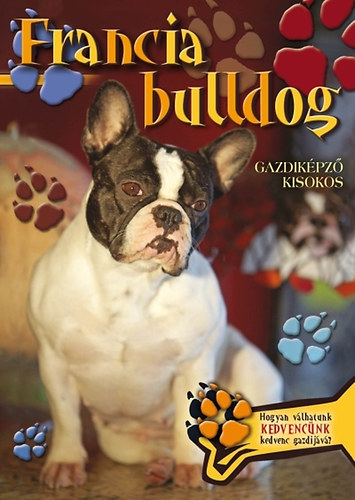 Francia bulldog - Gazdikpz kisokos