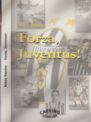 B�k�s S�ndor - Forza, Juventus