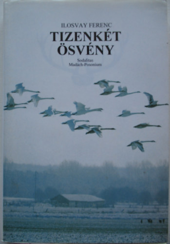 Ilosvay Ferenc - Tizenk�t �sv�ny (Egy vad�sz�v reg�nye)