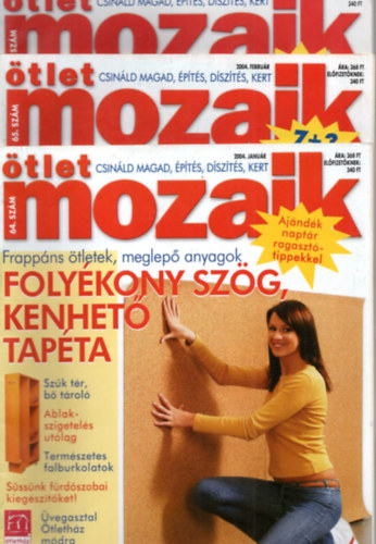 Nedbl Mikls - tlet Mozaik 2004. vf. ( 1 -12. szm - teljes  )