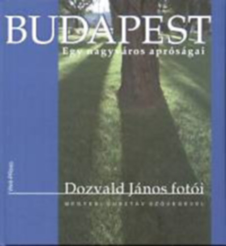 Dozvald J�nos-Megyesi Guszt�v - Budapest: Egy nagyv�ros apr�s�gai
