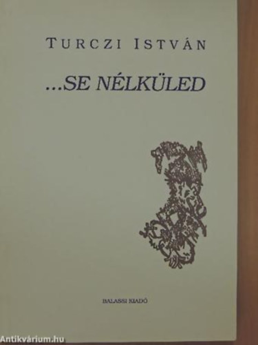 Turczi István - ...se nélküled - kiscsalád-regény