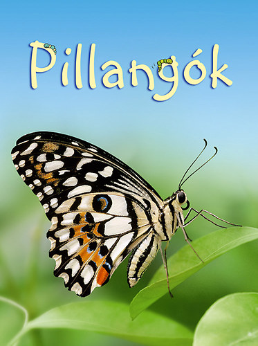 Stephanie Turnbull - Kis knyvtr: Pillangk