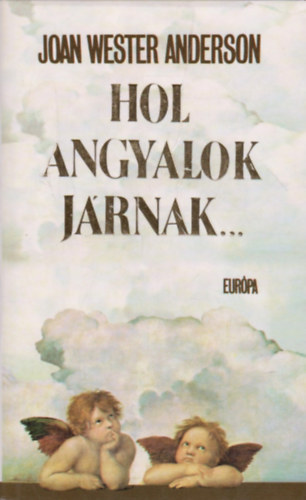 Joan Wester Anderson - Hol angyalok járnak... IGAZ TÖRTÉNETEK ÉGI LÁTOGATÓKRÓL