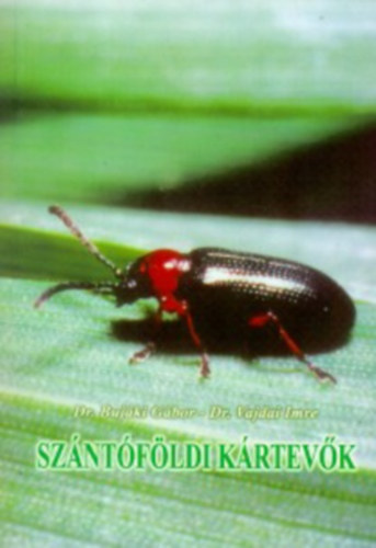 Dr. Dr. Vajdai Imre Buj�ki G�bor - Sz�nt�f�ldi k�rtev�k