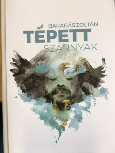 Barabás Zoltán - Tépett szárnyak