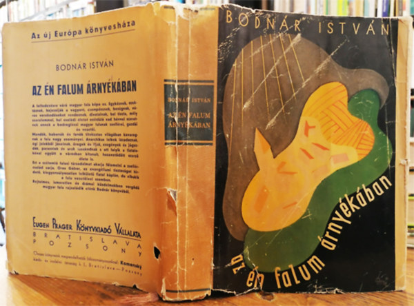 Bodnr Istvn - Az n falum rnykban