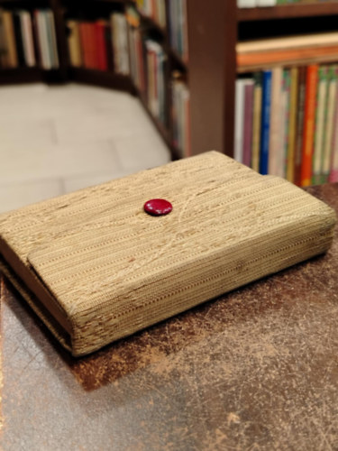 Baktay Ervin F.W. Bain (ford.) - Szürkület (Régi hindu elbeszélés a szanszkrit kézirat nyomán)