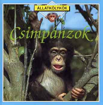 Kate Petty - Csimpnzok (llatklykk)