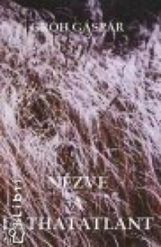 Gróh Gáspár - Nézve a láthatatlant