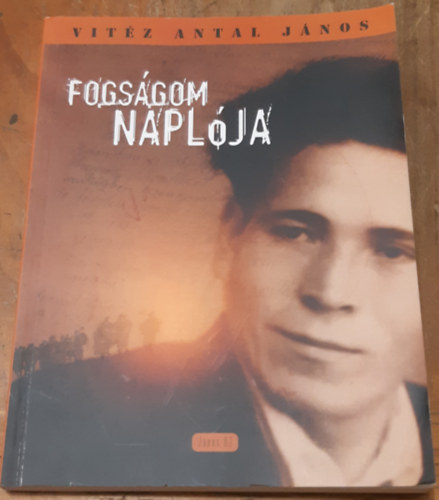 Vitz Antal Jnos - Fogsgom naplja