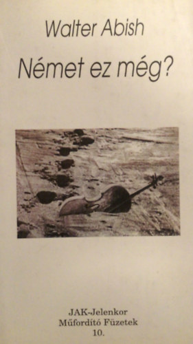 Walter Abish - Német ez még?