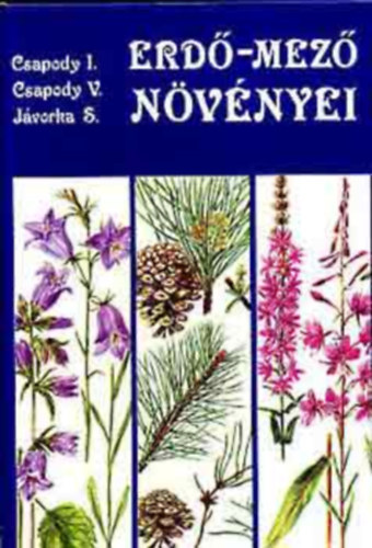 Dr. Csapody Istvn - Erd-mez nvnyei    - A trgyalt legfontosabb, legnpesebb nvnycsoportok hatrozkulcsa - A nvnyek ismertetse lhelyk s virgzsi idejk szerint