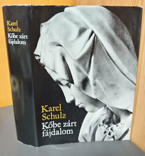 Dr. Benedekn� Luk�ts J�lia  Karel Schulz (szerk.), Szekeres Gy�rgy (ford.) - K�be z�rt f�jdalom - Michelangelo Buonarroti �letreg�nye