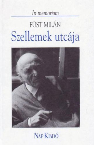Nap Kiad� - Szellemek utc�ja (In memoriam F�st Mil�n)