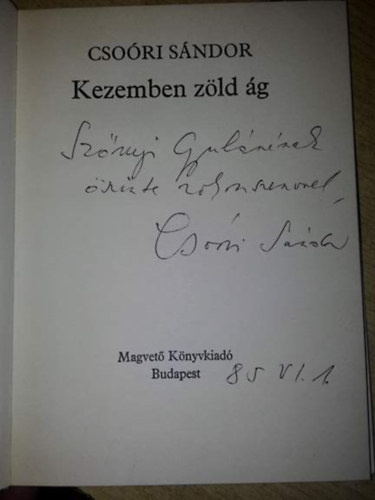 Csori Sndor - Kezemben zld g