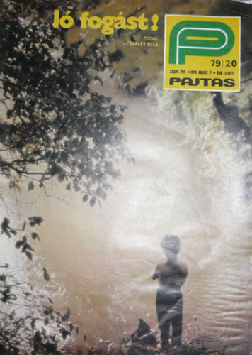 Somos Ágnes (szerk.) - Pajtás XXXIV. évfolyam 20. szám