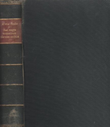 B�rtfai Szab� L�szl� - Pest megye t�rt�net�nek okleveles eml�kei 1002-1599-ig