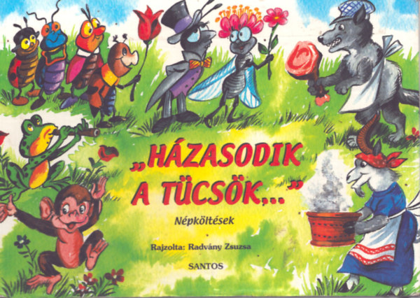 Radvny Zsuzsa  (rajz) - Hzasodik a tcsk... - Npkltsek