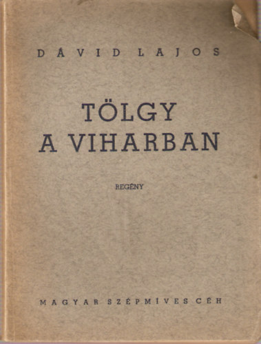 D�vid Lajos - T�lgy a viharban