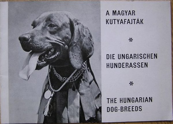 Magyar Ebtenysztl Orszgos Egyeslete - A magyar kutyafajtk - Die ungarischen Hunderassen - The hungarian dog
