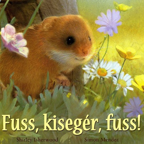 Fuss, kisegér, fuss!