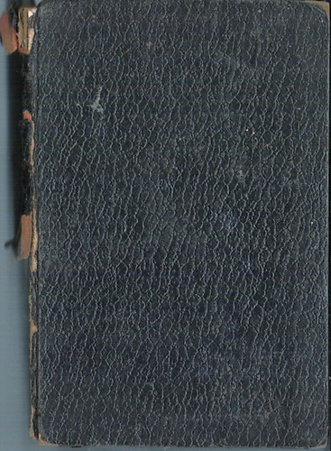 Kldi Gyrgy  (ford) - jszvetsgi szentrs a Vulgata szerint