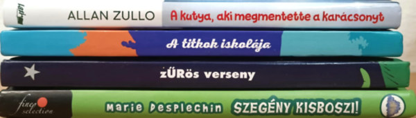 Marie Desplechin Allan Zullo - Ifj�s�gi reg�nycsomag