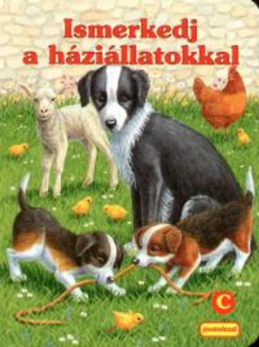 Bak� Krisztina - Ismerkedj a h�zi�llatokkal - C