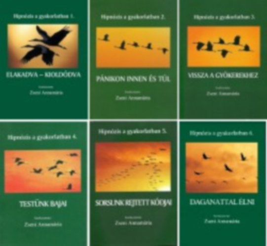 Zseni Annamária - Hipnózis a gyakorlatban 1-6. (Elakadva - kioldódva - Pánikon innen és túl - Vissza a gyökerekhez - Testünk bajai - Sorsunk rejtett kódjai - Daganattal élni)