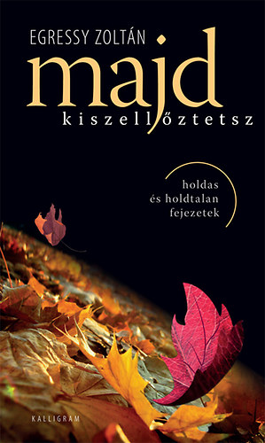 Egressy Zolt�n - Majd kiszell�ztetsz - Holdas �s holdtalan fejezetek