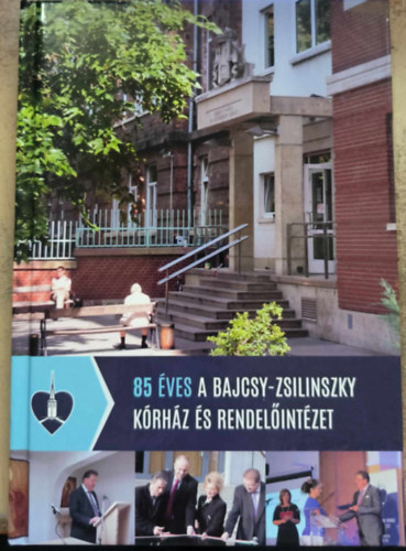 80 ves a Bajcsy-Zsilinszky Krhz s Rendelintzet