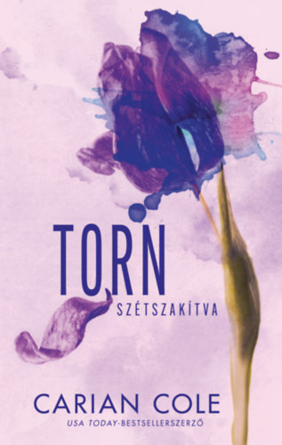 Carian Cole - Torn - Sz�tszak�tva