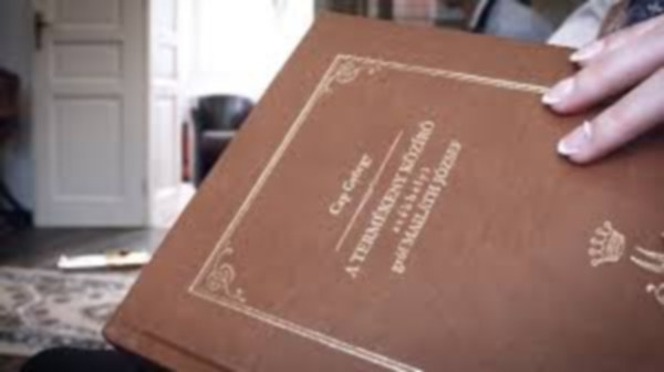 Cap György - A termékeny közíró - székhelyi gróf Mailáth József közírói tevékenysége, munkái és beszédei