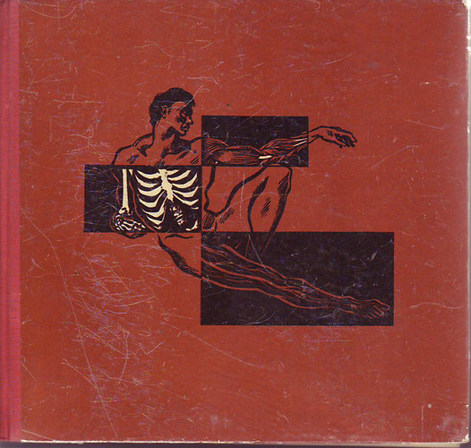 �kos K�roly - Ismeretlen vil�g: az ember