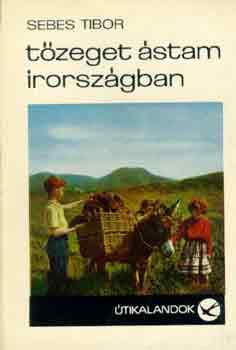 Sebes Tibor - T�zeget �stam �rorsz�gban