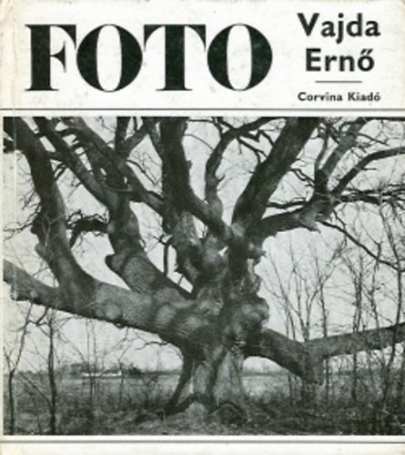 Koll�nyi �goston - Foto - Vajda Ern� munk�ss�ga