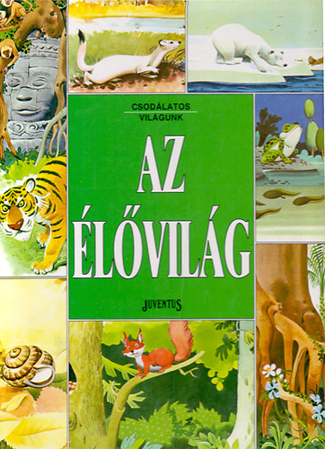 Ball�r Judit - Tony Wolf - Az �l�vil�g- A rovarok vil�ga-K�zeli t�jakon-A t�voli t�jak