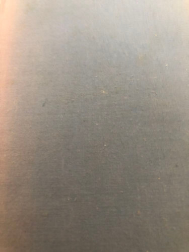 R.J. McGregor - A kis detekt�vek