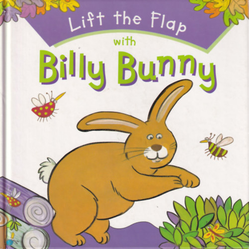 Janet Allison Brown - Lift the Flap wih billy Bunny