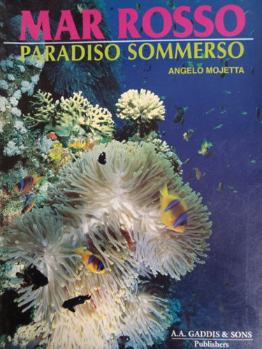 Angelo Mojetta - Mar Rosso - Paradiso Sommerso