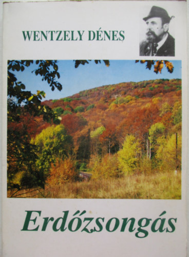 Wentzely Dénes - Erdőzsongás