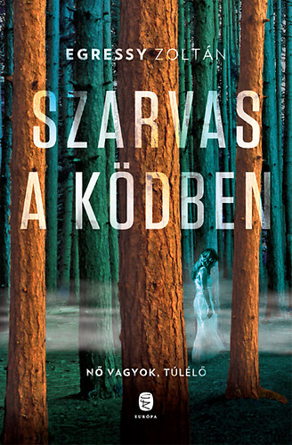 Egressy Zoltán - Szarvas a ködben