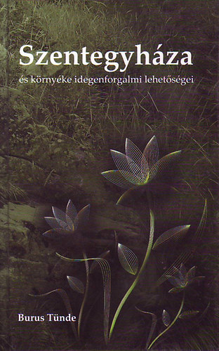 Burus T�nde - Szentegyh�za �s k�rny�ke idegenforgalmi lehet�s�gei