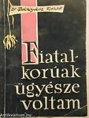 Dr. Bányász Rezső - Fiatalkorúak ügyésze voltam