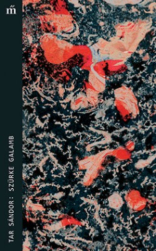 Tar Sndor - Szrke galamb