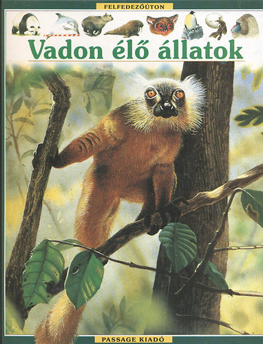 Vadon l llatok (Felfedezton)