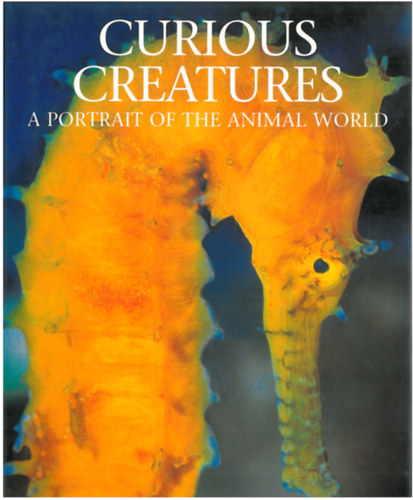 Andrew Cleave - Curious Creatures - A portrait of the animal world